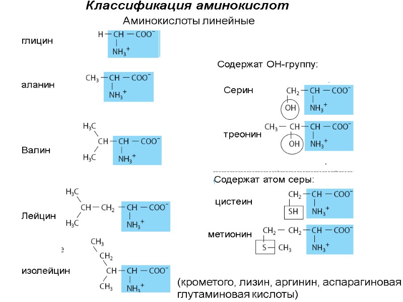 Классификация аминокислот  Аминокислоты линейные Содержат атом серы: Содержат ОН-группу: глицин   